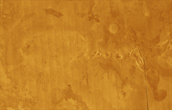 Volcanic features on Venus