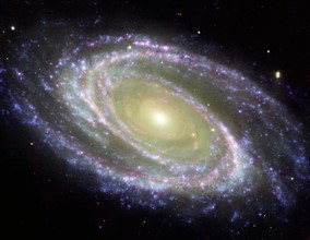 The spiral galaxy known as Messier 81