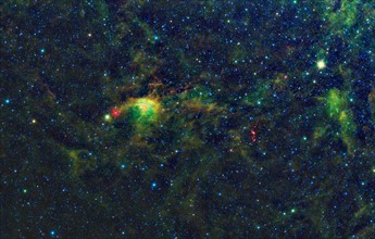 Striking population of young stellar objects