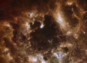 The Large Magellanic Cloud galaxy