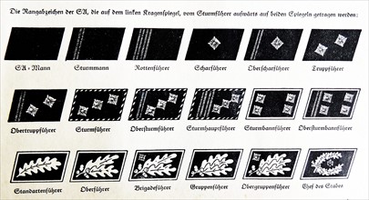 Rank insignia in the Nazi Party, 1934