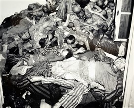 Bodies of Jews killed at Dachau concentration camp
