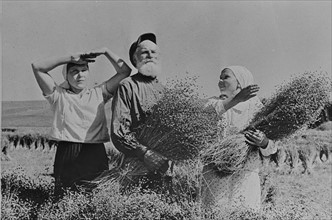 Russian flax-pickers, 1930-1940