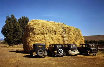 Hay stack and automobiles belonging to farm workers, 1944