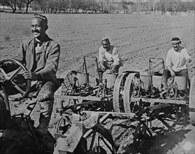 Russian planting cotton farmers