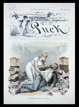 St. Luke's and Mt. Sinai Hospitals, 1886