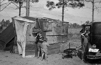 The temporary home of a migrant citrus worker and his family. Now camped near the packing plant of Winterhaven, Florida. The family is originally from Tennessee dated 19370101