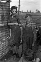 Part of the family of a migrant fruit worker from Tennessee, camped near the packinghouse in Winter Haven, Florida 19370101