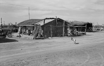 Housing typical of that afforded Mexican field workers of the Imperial Valley. 19380101