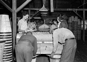 Vegetable packing plant at Deerfield, 1937