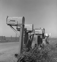 Mail boxes of lettuce workers, 1939