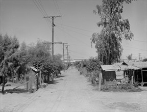 Mexican field workers' homes, 1936