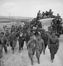 Allied armies entering Tunis, 1943