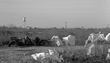 Laundry of migrant workers drying on mesquite brush, Edinburg, Texas By Russell Lee, 1903-1986, dated 19390101 Feb.