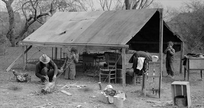 setting up tent home. Migrant workers near Harlingen, Texas by Russell Lee, 1903-1986, dated 19390101.