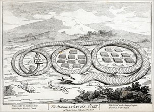 Cartoon depicting the 'American Rattle Snake'