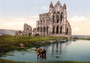 Whitby Abbey, Yorkshire, England