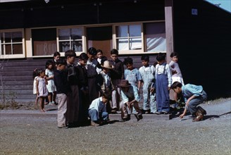 Boys playing marbles, USA. Photographer Arthur Rothstein.