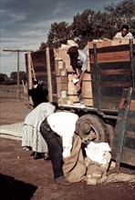 Distributing surplus commodities, St Johns, Ariz. Photographer Russell Lee