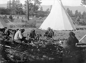 Photographic print of Salish woman sitting on the ground preparing meat