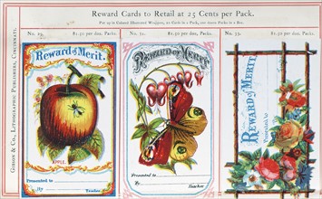 Highly coloured educational 'Reward Cards' for children