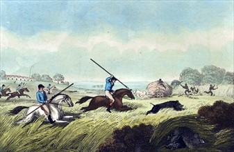 The chase after a hog 1807; by Samuel Howitt, 1765?-1822, artist