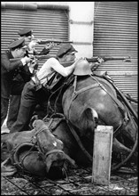 Republican fighters take aim behind a barricade of a dead horses.