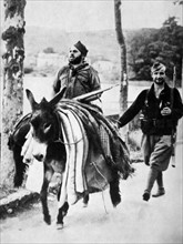 Spanish Civil War, republican soldier travels by donkey