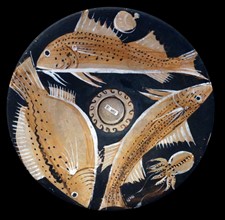Roman red-figured fish-plate