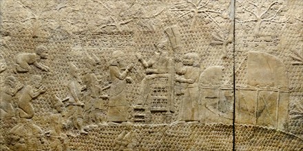 Sennacherib watches the capture of Lachish. Assyrian relief, about 700-692 BC From Nineveh