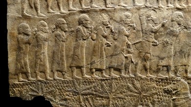 Review of prisoners Assyrian, about 700-692 BC From Nineveh