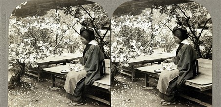 Japanese woman having tea