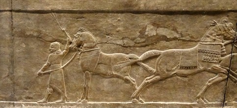 Hunting gazelle. Assyrian, about 645-635 BC From Nineveh