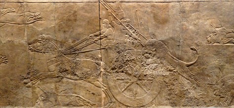 The royal lion hunt, Assyrian, about 645-635 BC From Nineveh. North Palace, Iraq