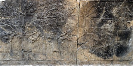 Wall frieze depicting Campaign against the town of -alammu. Assyrian, about 700-692 BC From Nineveh, Iraq.