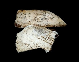 Specimen of early Chinese writing characters engraved on a bone. Sang Period 1000-1500 BC,