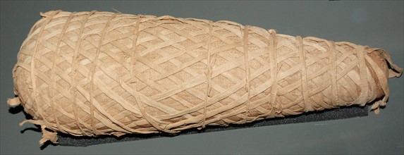 Animal mummy from Egypt