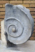 Volute of Ionic capital of the interior order of the temple of Apollo at Bassae