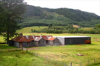 A Scottish rural farm; central Highland's Scotland