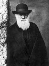 Photographic portrait of Charles Darwin , photographed by Julia Margaret Cameron