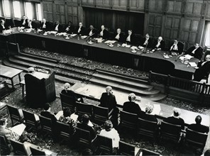International Court of Justice, in Holland, hearing the case on French nuclear testing1973