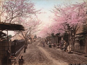 Hand coloured photograph of a road with wooden houses on the hill of Noge, Yokohama