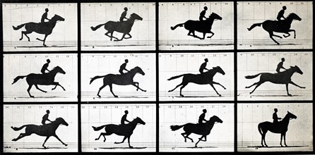 Horse in Motion by Eadweard Muybridge