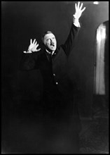 Photograph of Adolf Hitler rehearsing his speech in front of a mirror