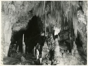 Photograph of Crystal Palace, Aranui Cave, Waitomo