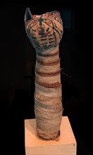 Egyptian mummified cat. Late Period-Ptolemaic Period (715-30 B.C.).
