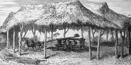 Spanish colonial mill for grinding corn, Mexico 1850