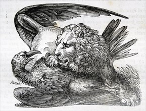Engraving of a Lion attacking a vulture