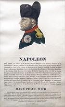 Hieroglyphic portrait of Napoleon Bonaparte as 'The Destroyer'