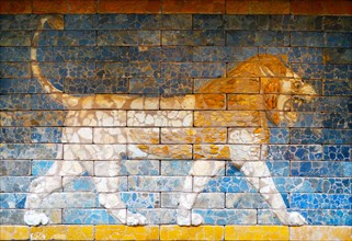 Glazed brick panel showing a roaring lion from the Throne Room of Nebuchadnezzar II